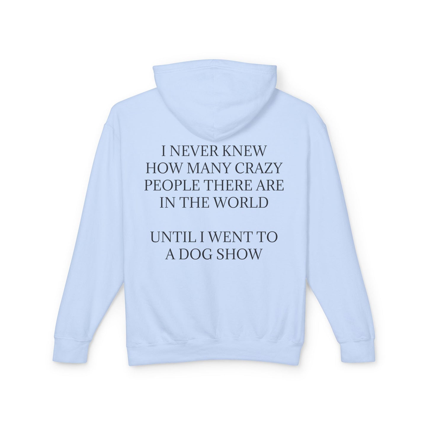 Never Knew Unisex Lightweight Hoodie