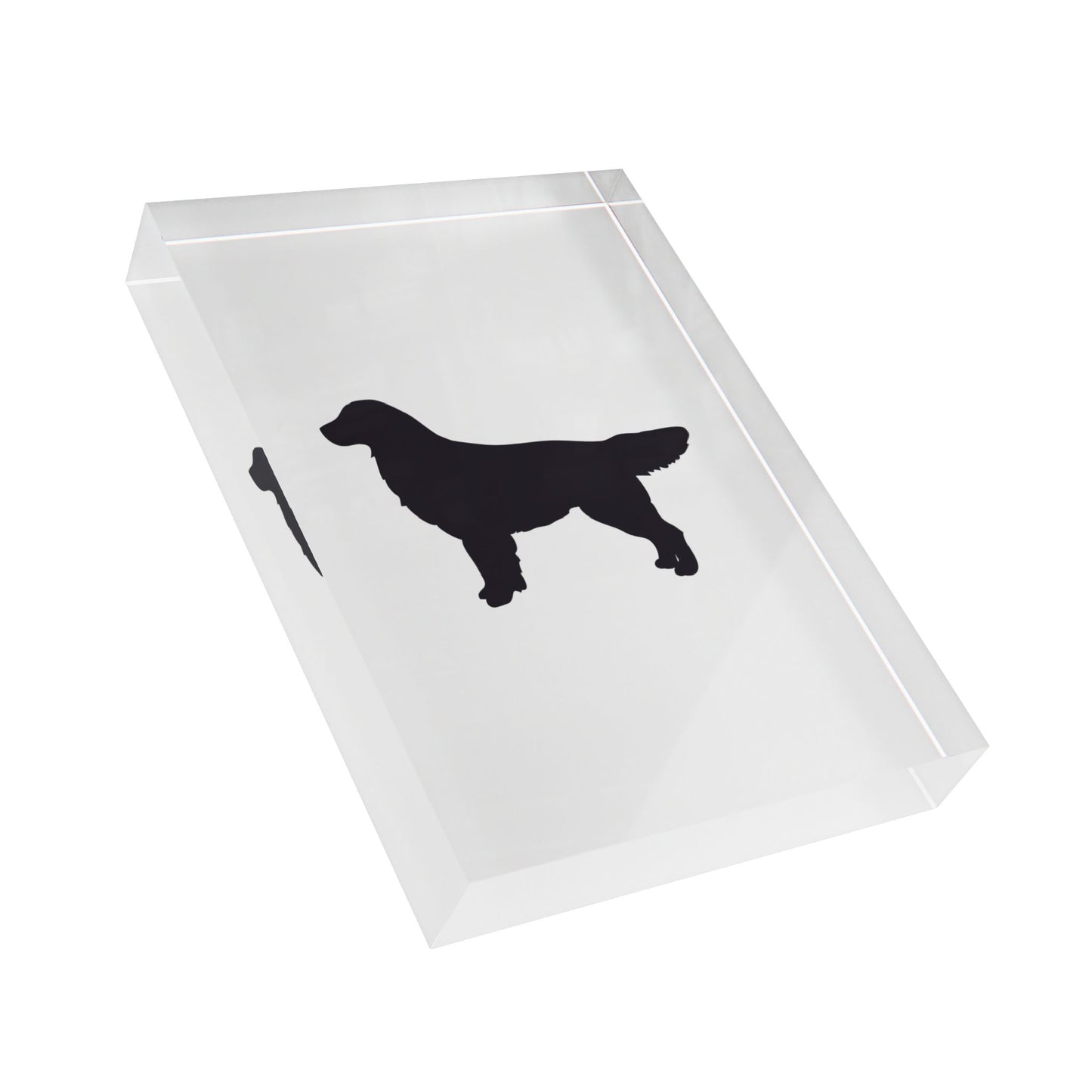 Golden Silhouette Acrylic Photo Block