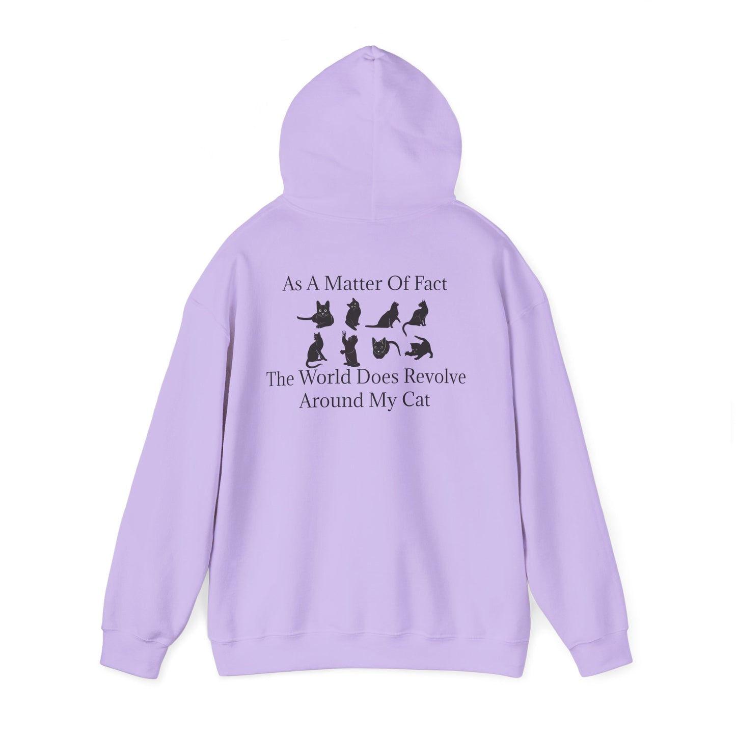 Matter Of Fact Cat Unisex Hoodie