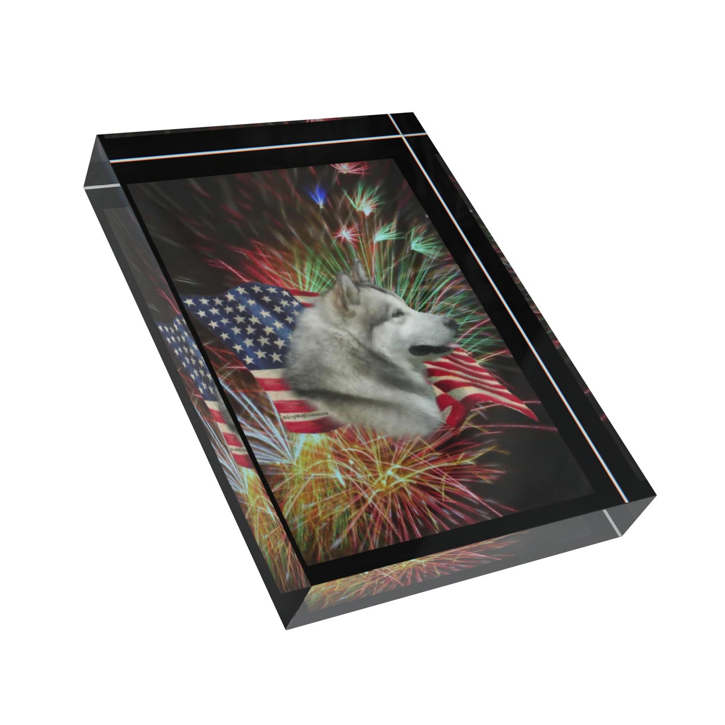 American Malamute Acrylic Photo Block