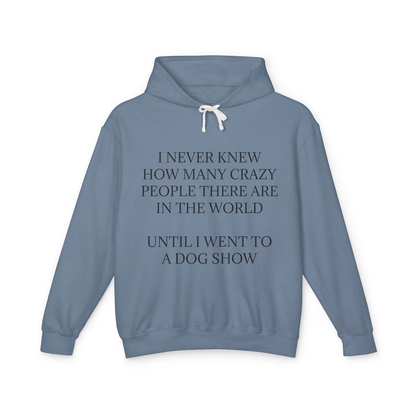 Never Knew Unisex Lightweight Hoodie