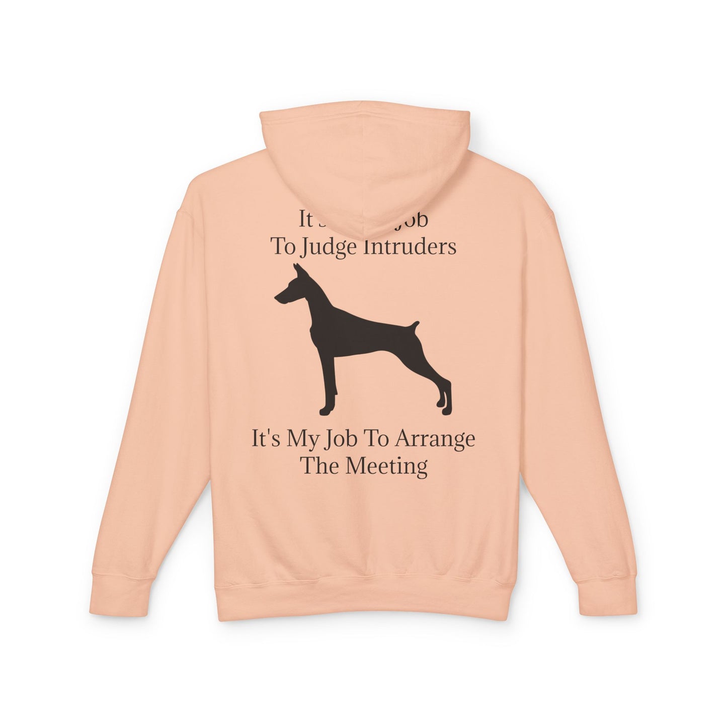 Arrange The Meeting Unisex Lightweight Hoodie