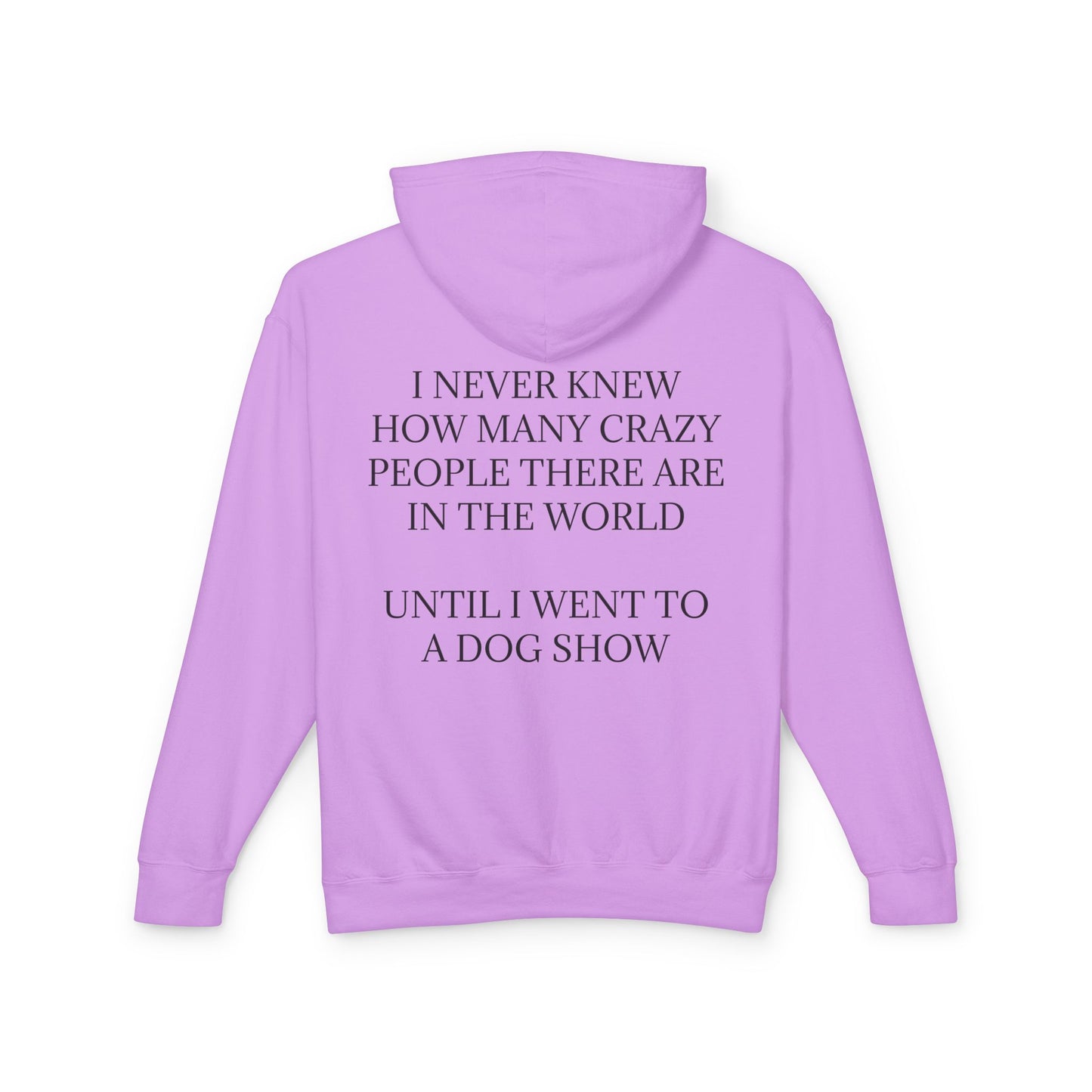 Never Knew Unisex Lightweight Hoodie