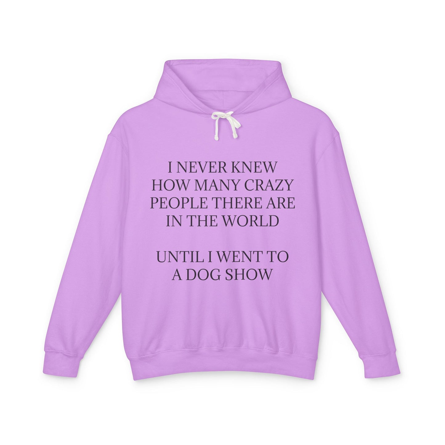 Never Knew Unisex Lightweight Hoodie