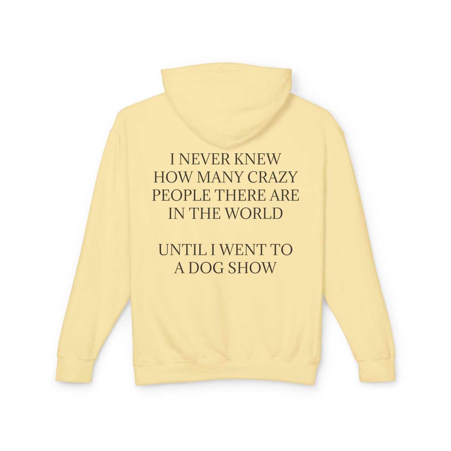 Never Knew Unisex Lightweight Hoodie