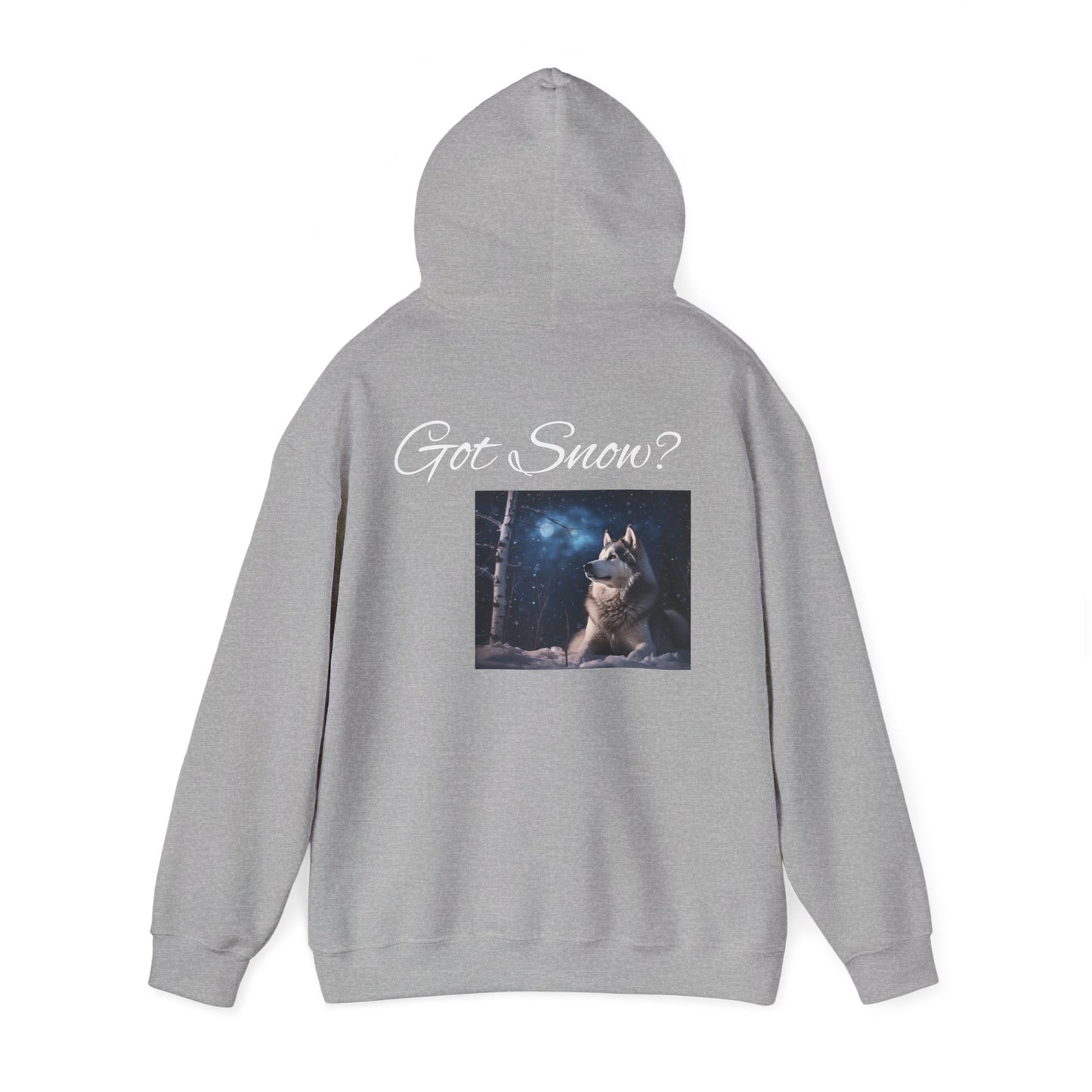 Got Snow? Unisex Hoodie