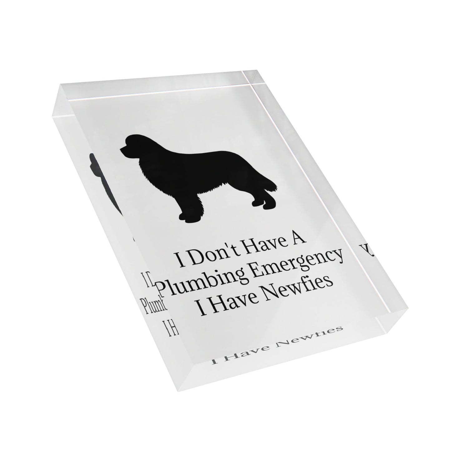 Plumbing Emergency Acrylic Photo Block