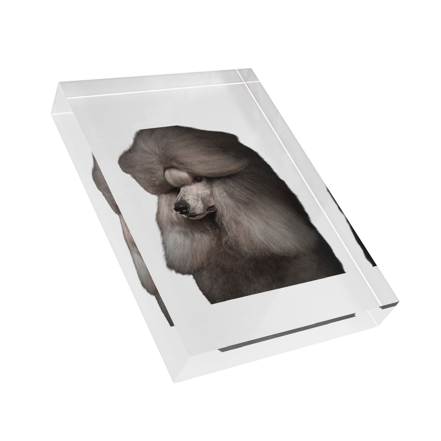 Poodle Head Acrylic Photo Block