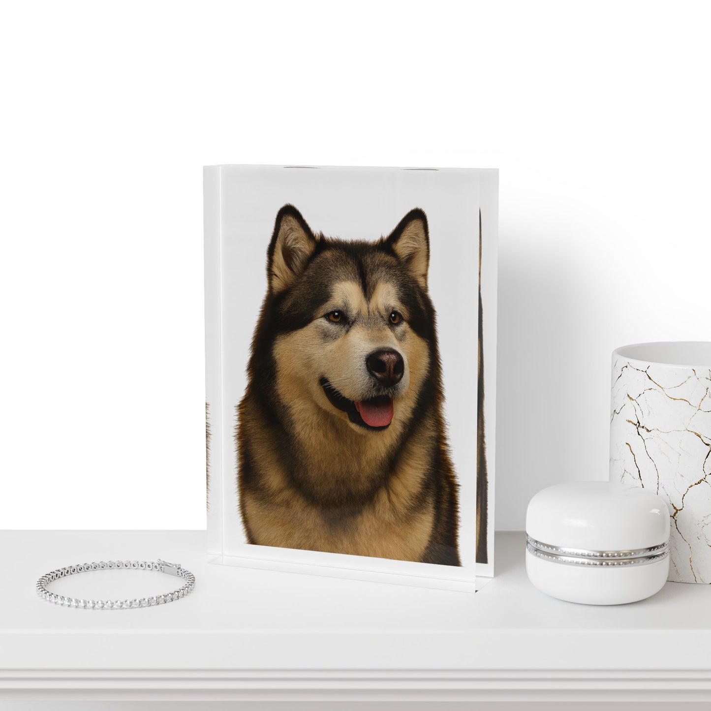 Malamute Head Acrylic Photo Block
