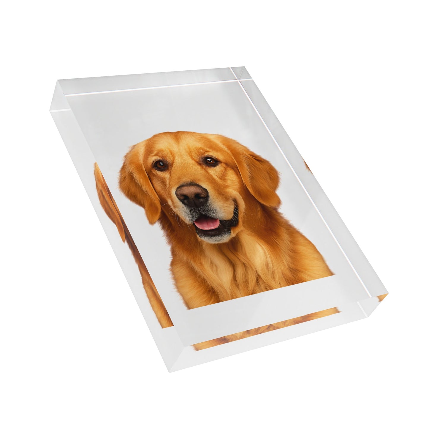 Golden Head Acrylic Photo Block