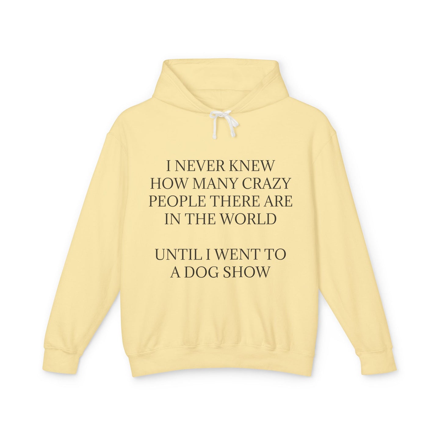 Never Knew Unisex Lightweight Hoodie
