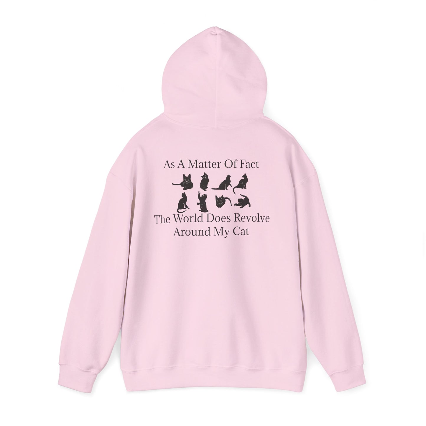 Matter Of Fact Cat Unisex Hoodie