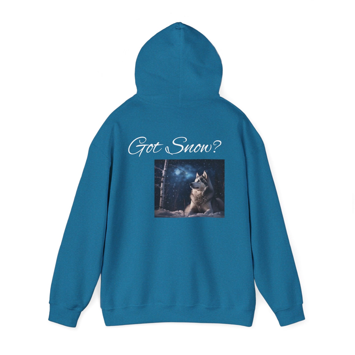 Got Snow? Unisex Hoodie