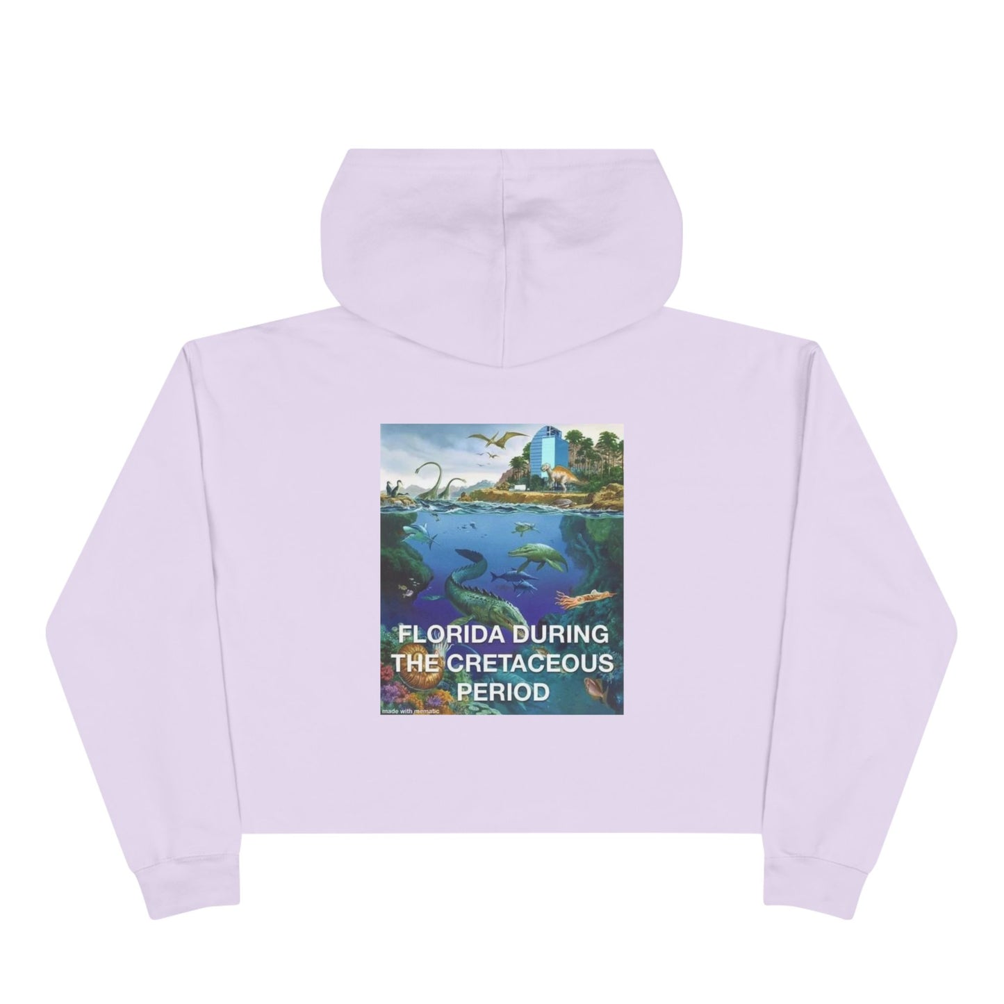 I-4 Eyesore Women's Crop Hoodie