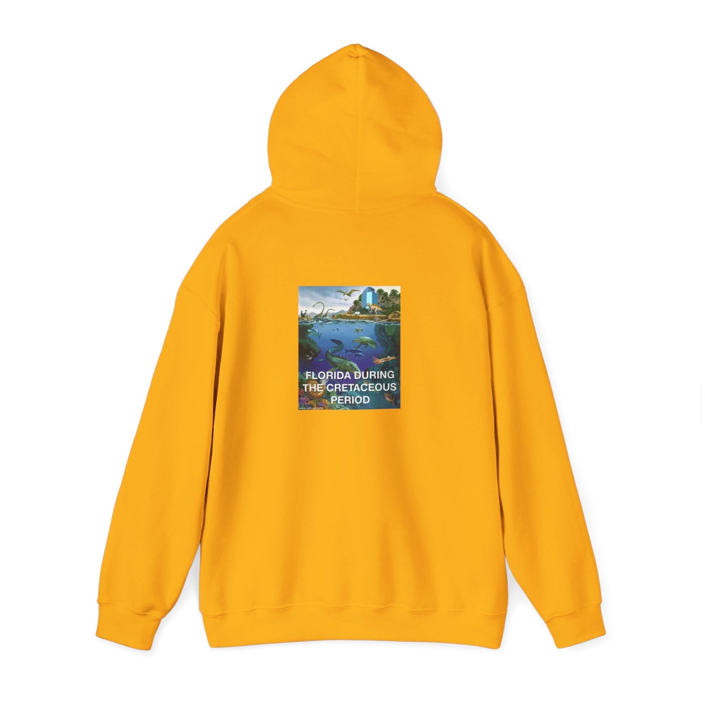 I-4 Eyesore Unisex Hoodie