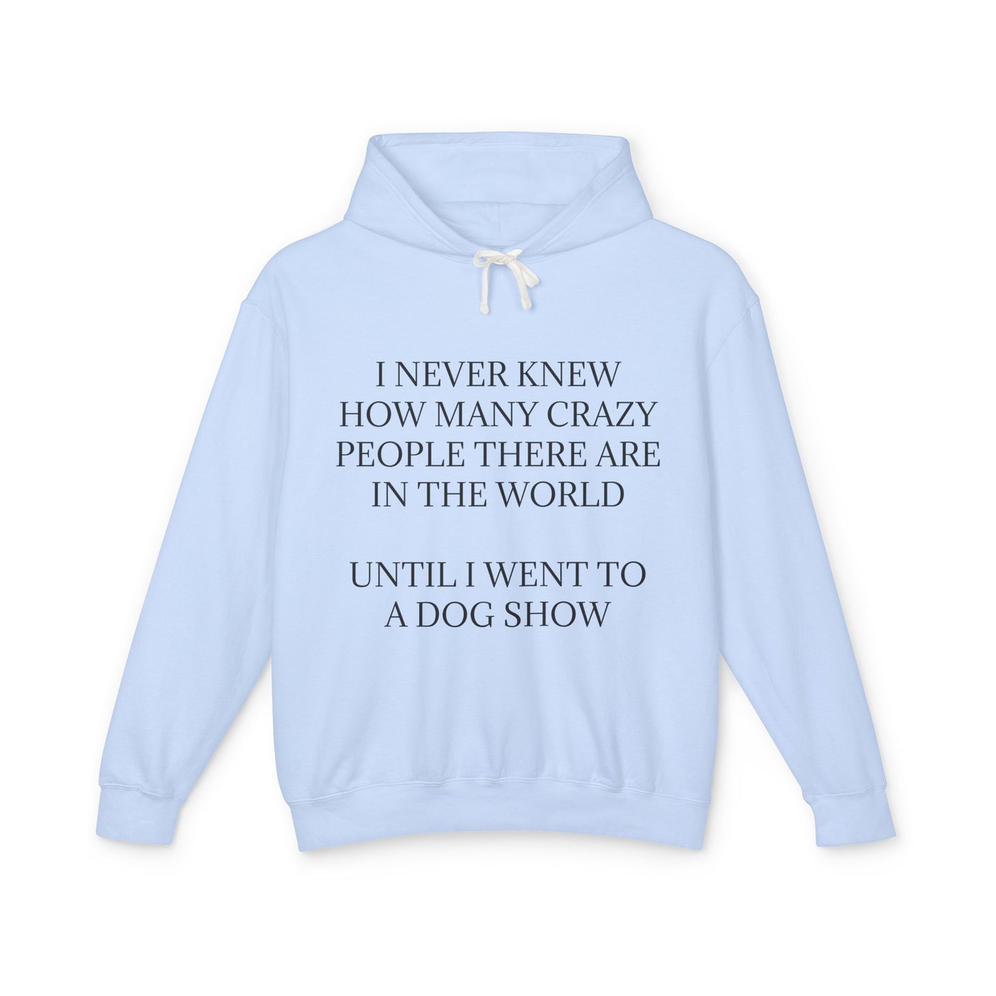 Never Knew Unisex Lightweight Hoodie