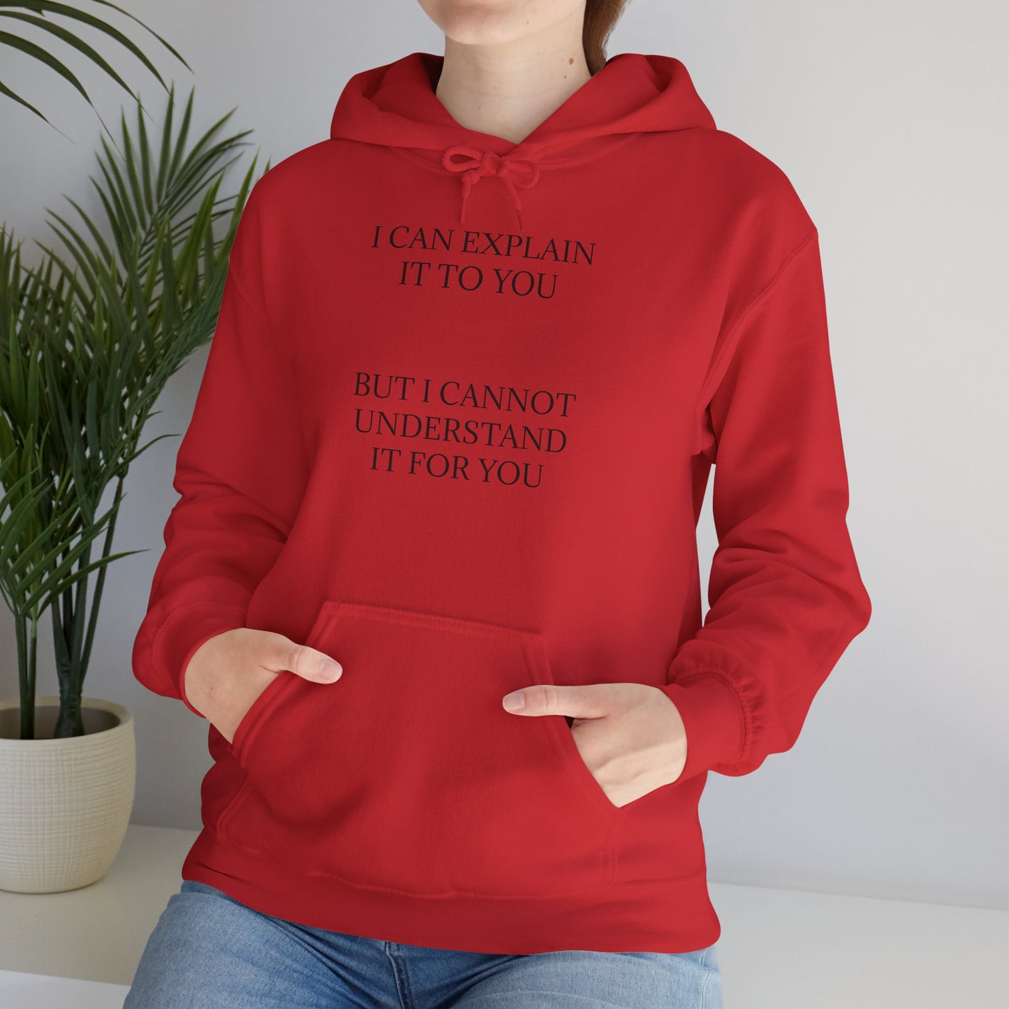 I Cannot Understand It For You Unisex Hoodie