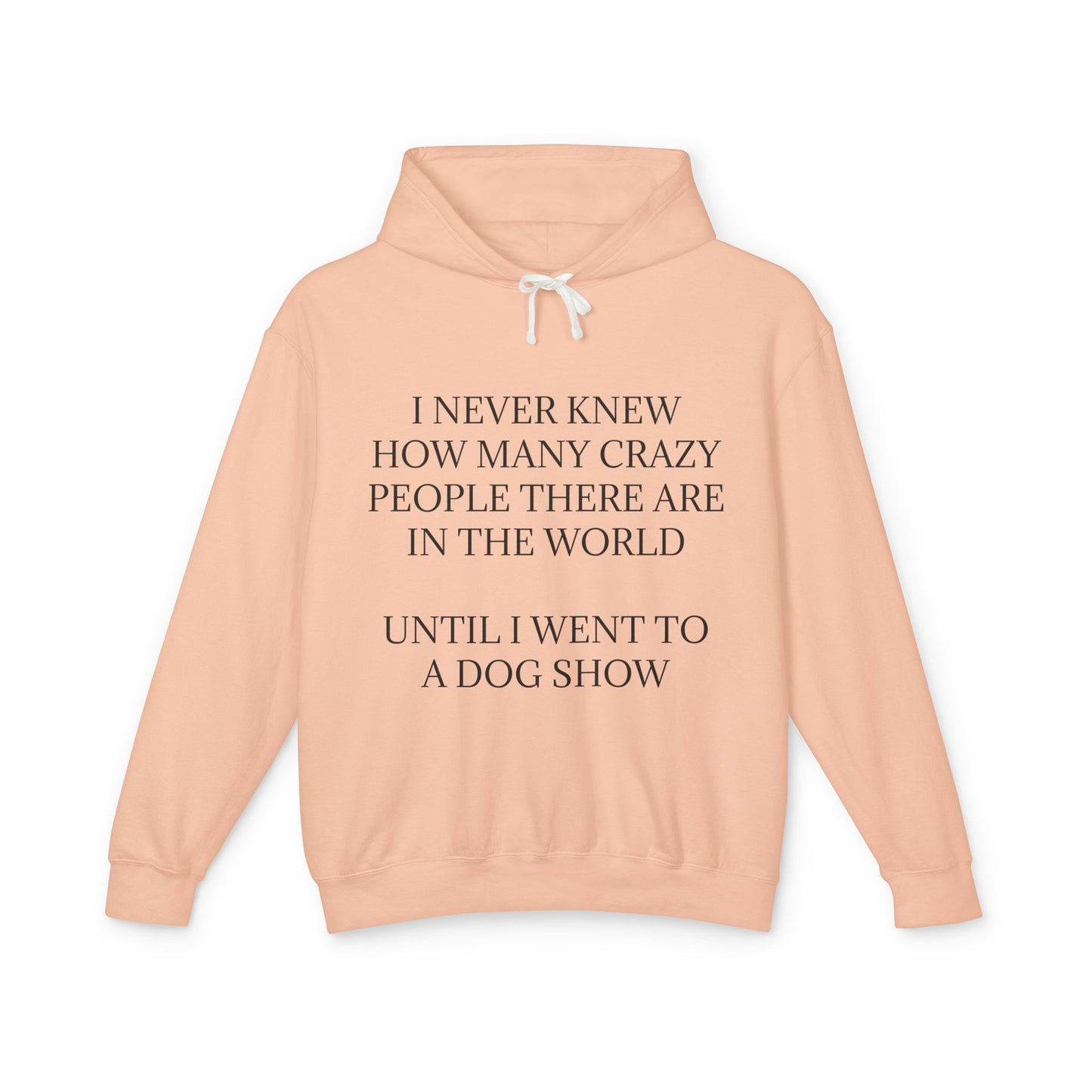 Never Knew Unisex Lightweight Hoodie