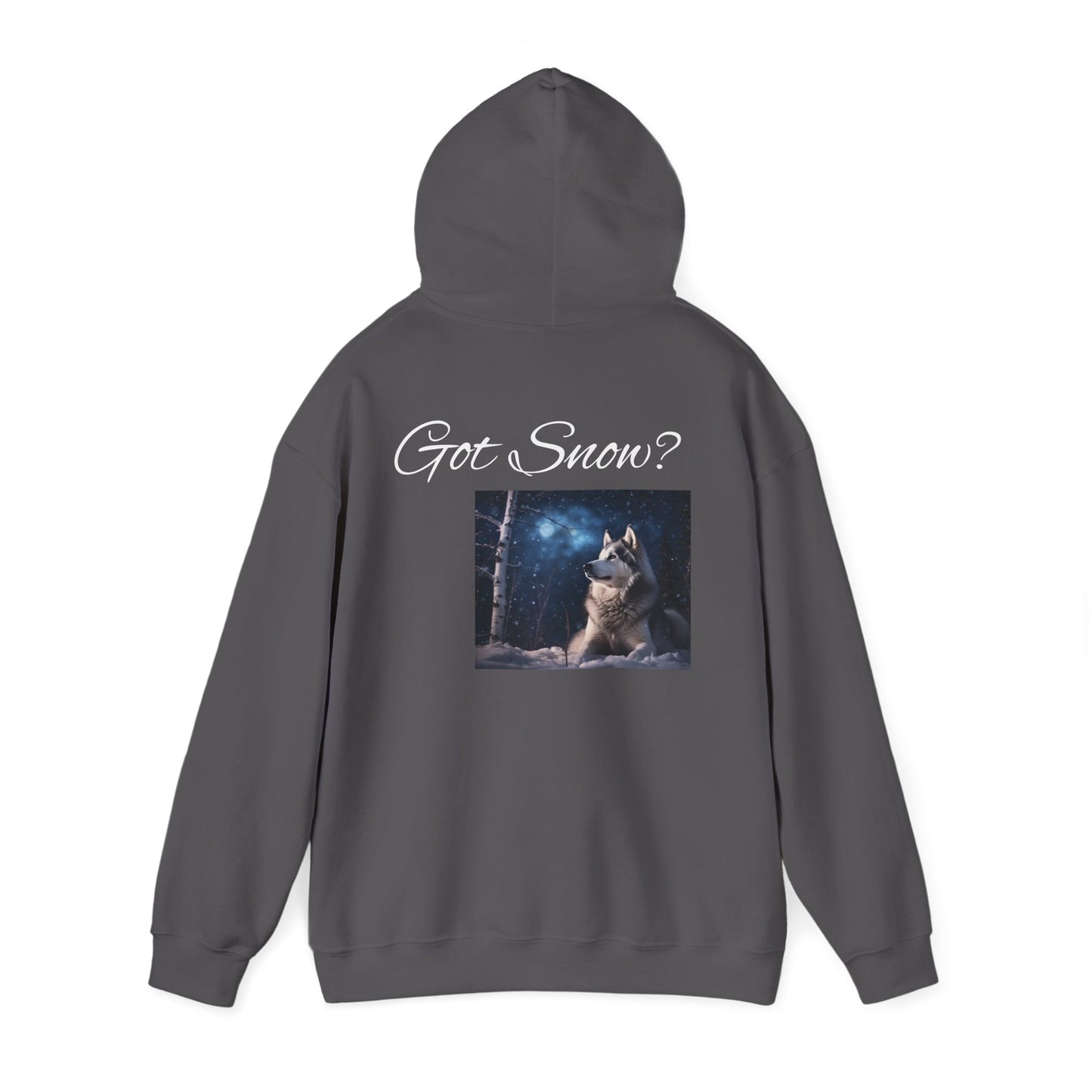 Got Snow? Unisex Hoodie