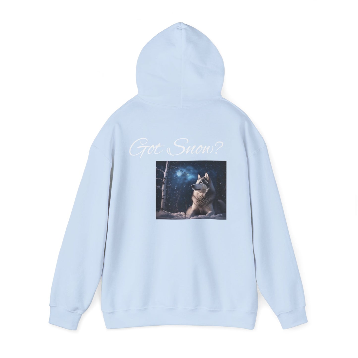 Got Snow? Unisex Hoodie