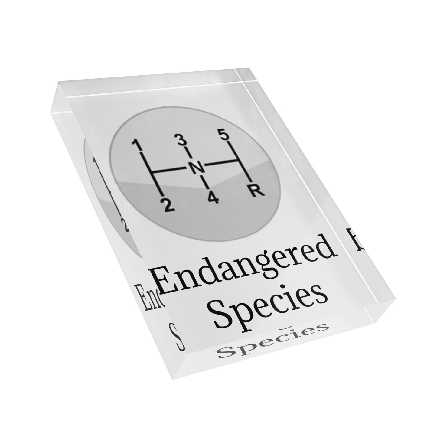 Endangered Species Acrylic Photo Block