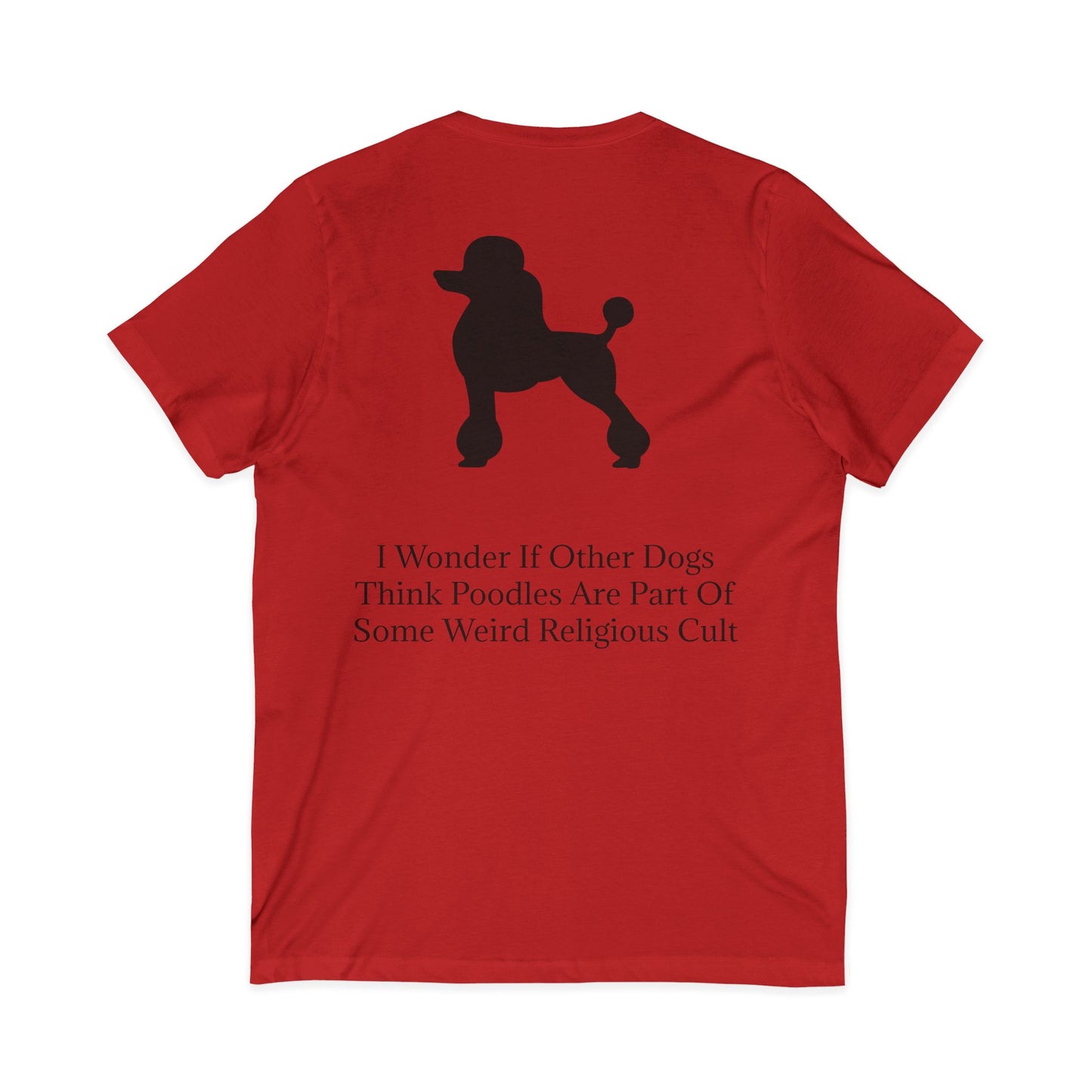 I Wonder Unisex Short Sleeve V-Neck Tee