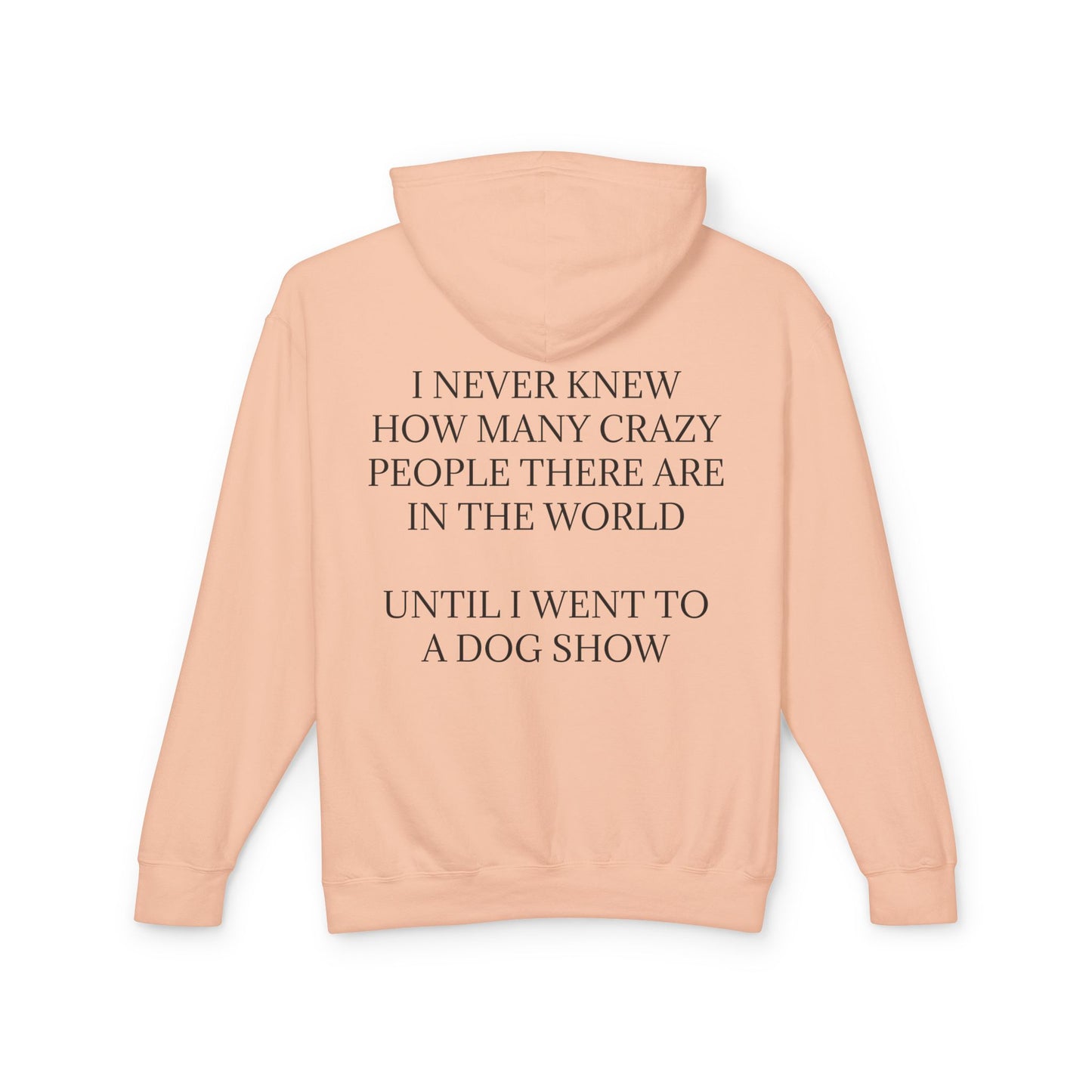 Never Knew Unisex Lightweight Hoodie