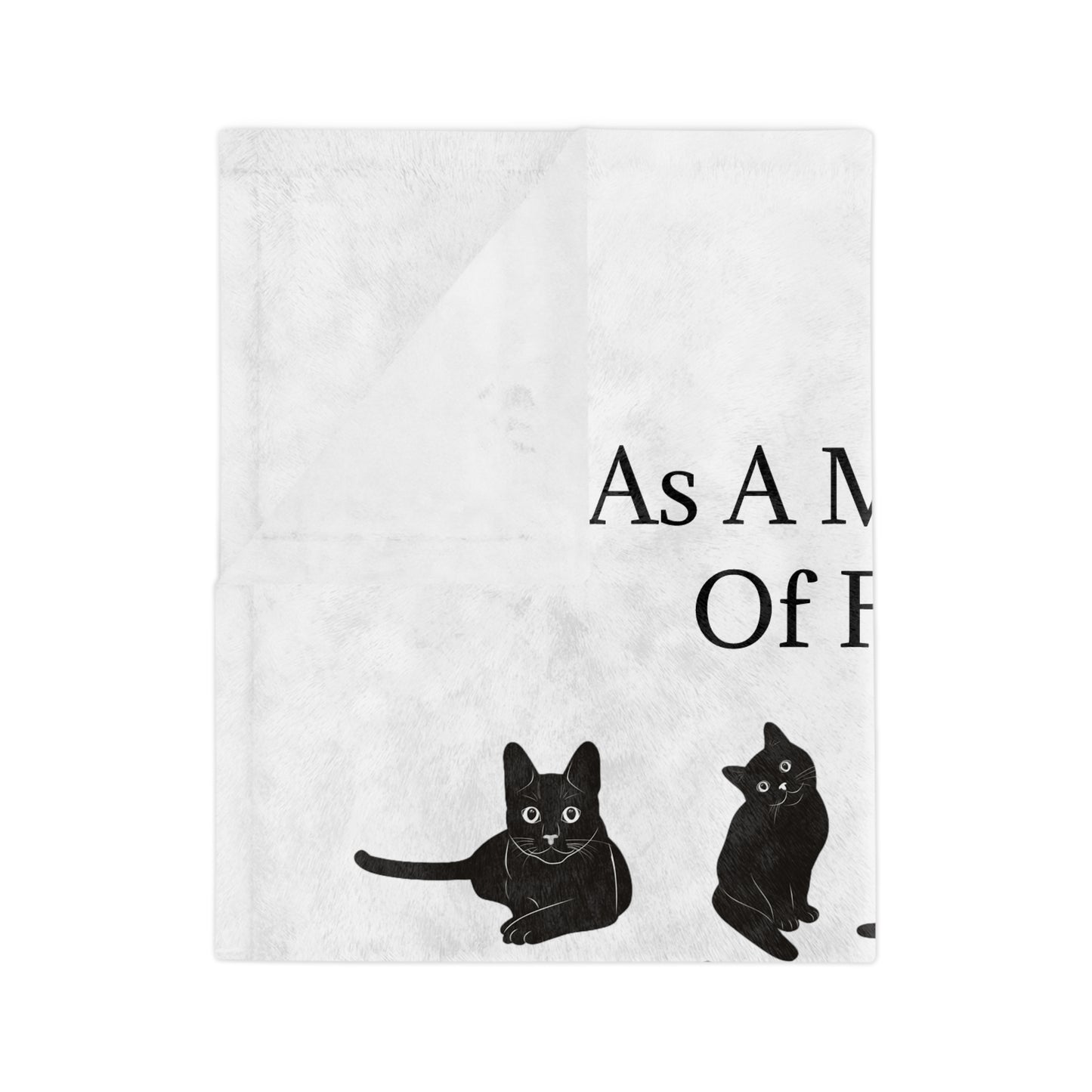 Matter Of Fact Cat Velveteen Microfiber Blanket