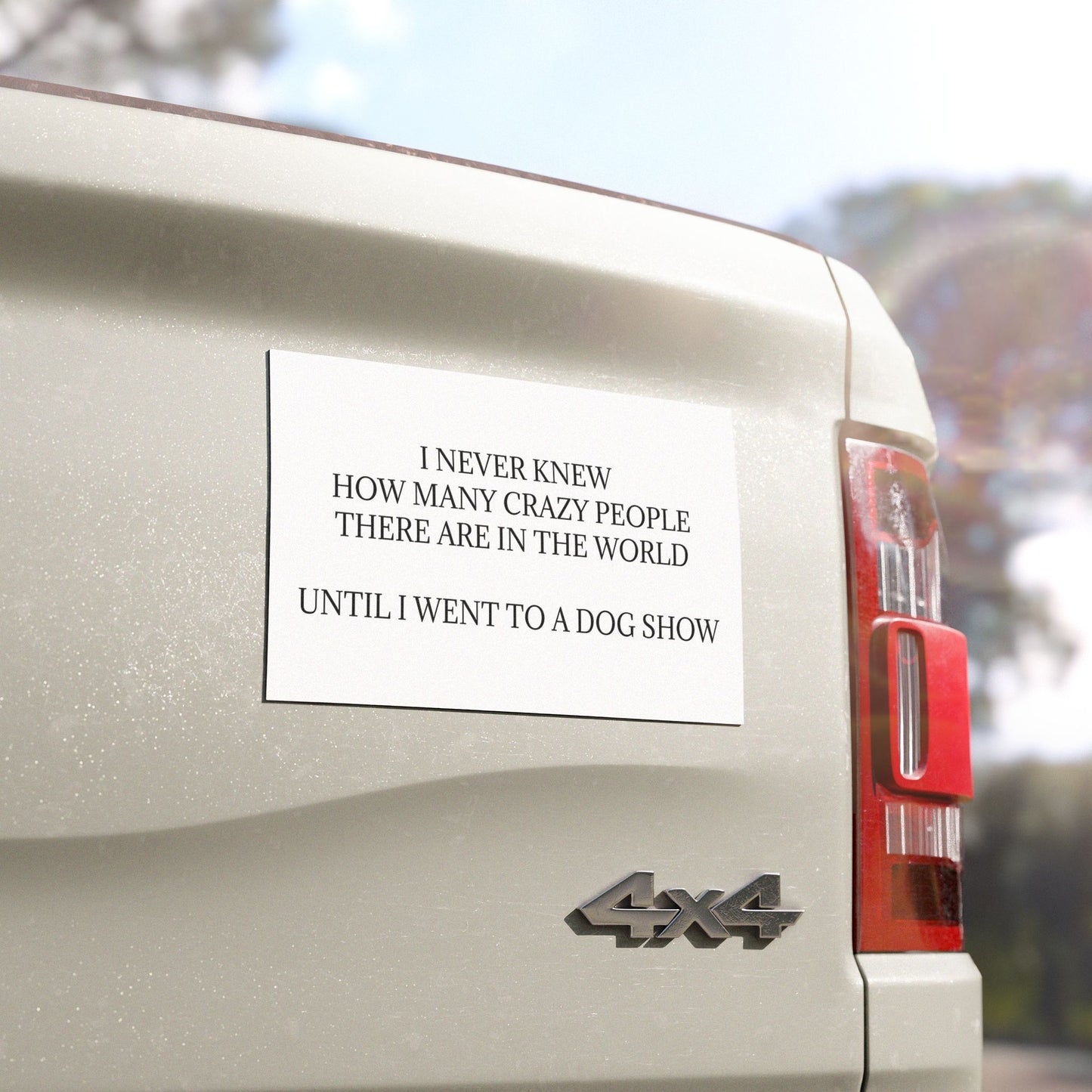 Never Knew Indoor/Outdoor Magnet