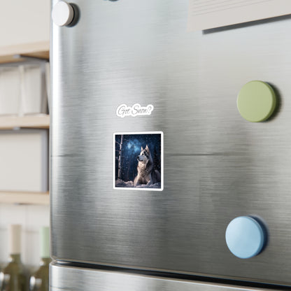 Got Snow? Vinyl Decal