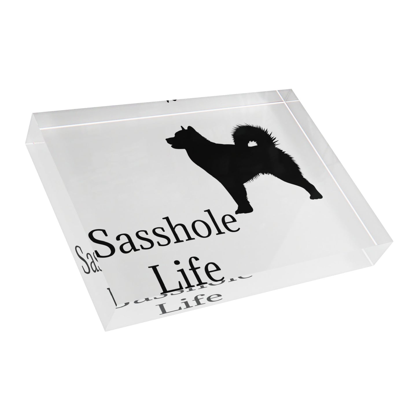 Sasshole Life Acrylic Photo Block