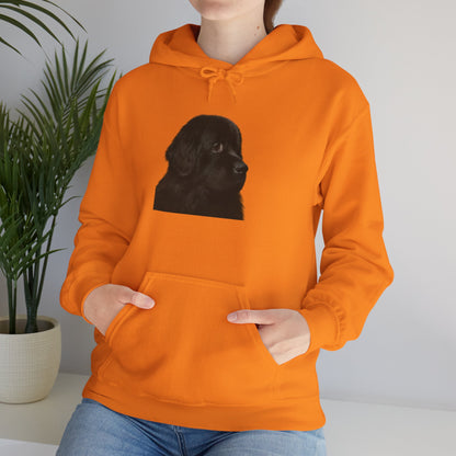 Newfie Head Unisex Hoodie
