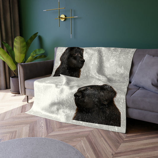 Newfie Head Crushed Velvet Blanket