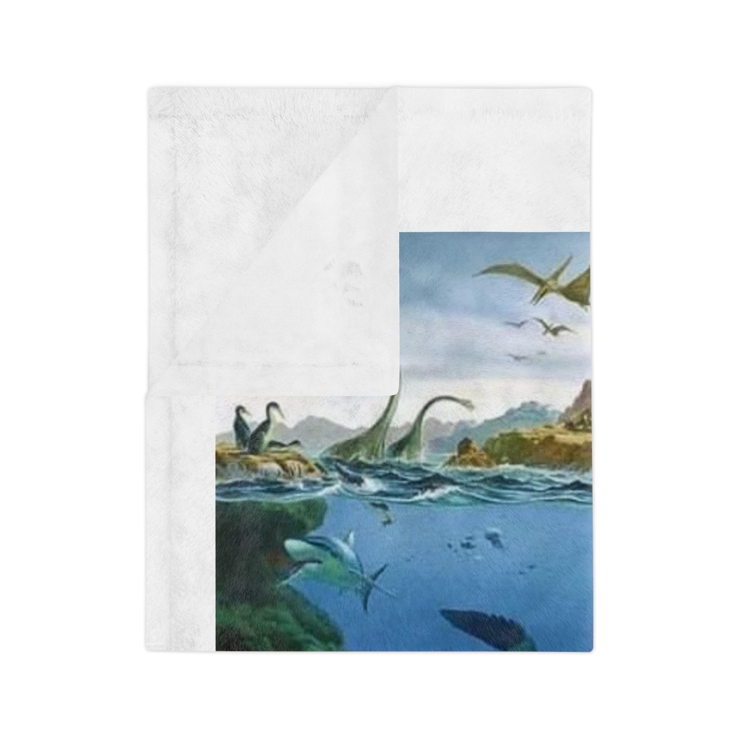 I-4 Eyesore Velveteen Microfiber Blanket