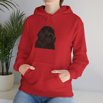 Newfie Head Unisex Hoodie