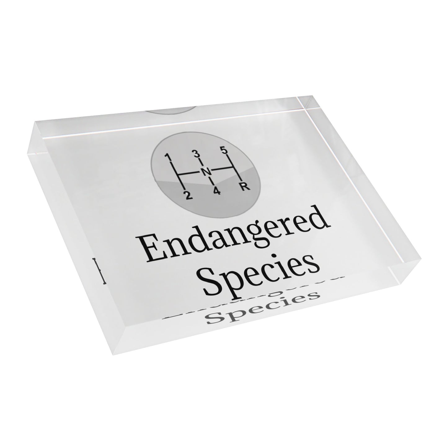 Endangered Species Acrylic Photo Block