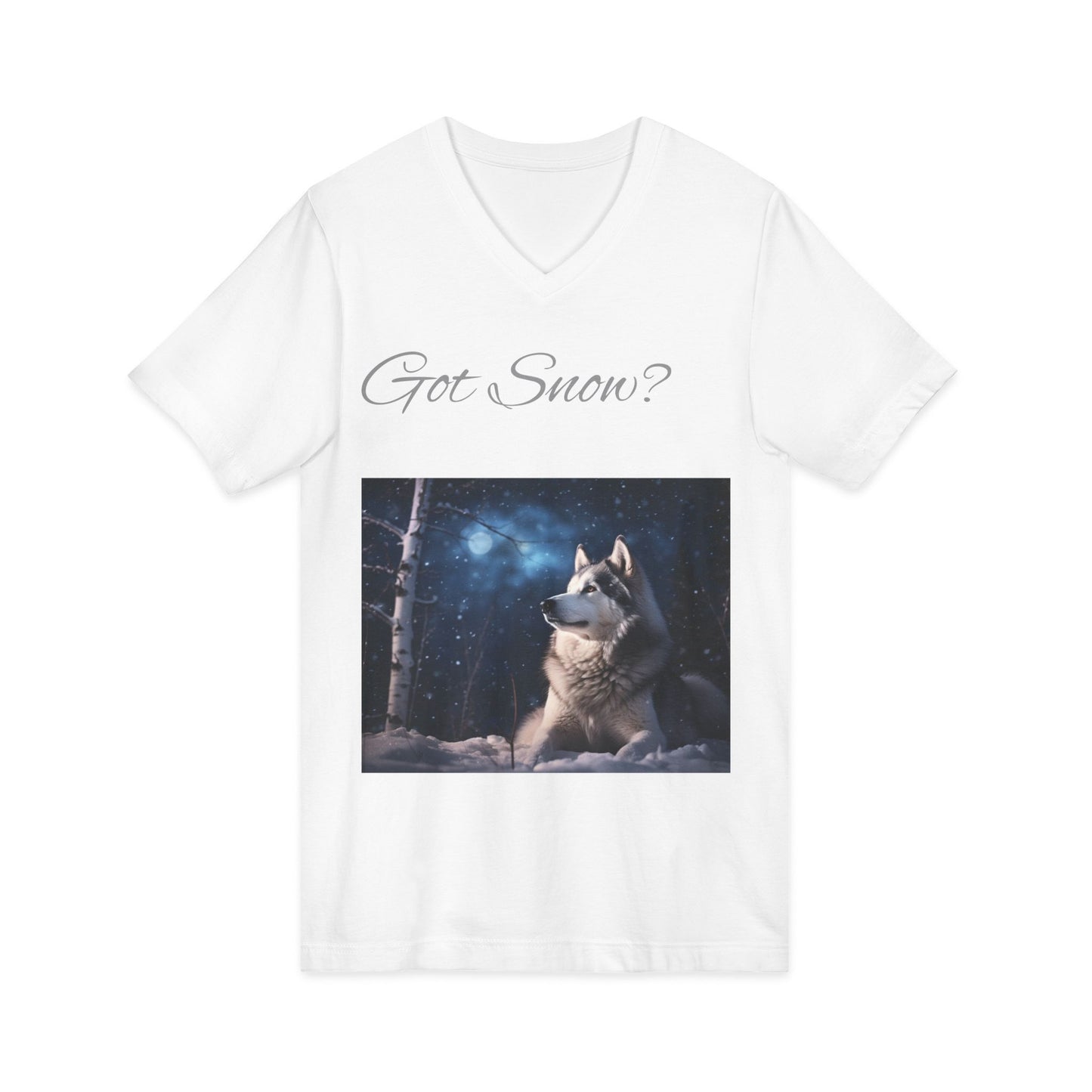 Got Snow? Unisex Short Sleeve V-Neck Tee