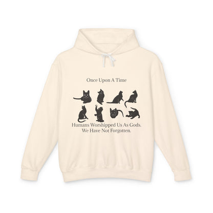 Once Upon A Time Unisex Lightweight Hoodie