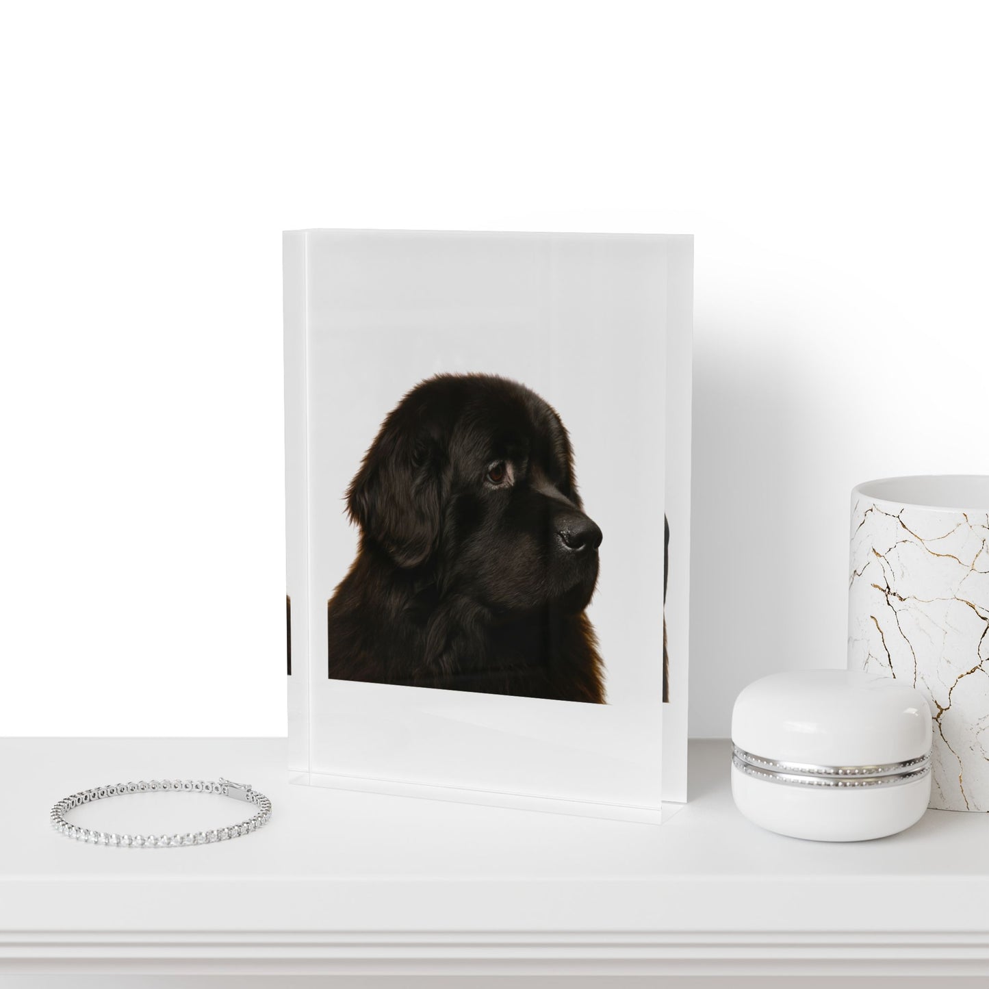 Newfie Head Acrylic Photo Block