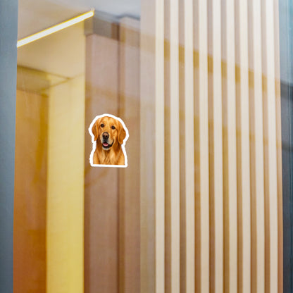 Golden Head Vinyl Decal