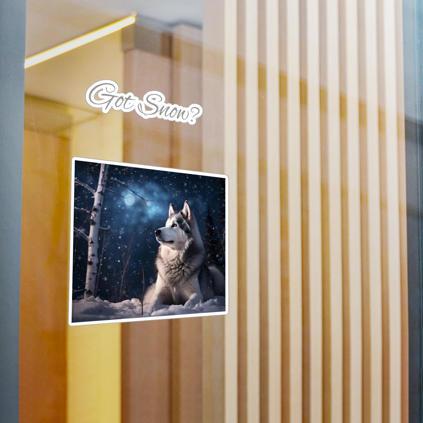 Got Snow? Vinyl Decal