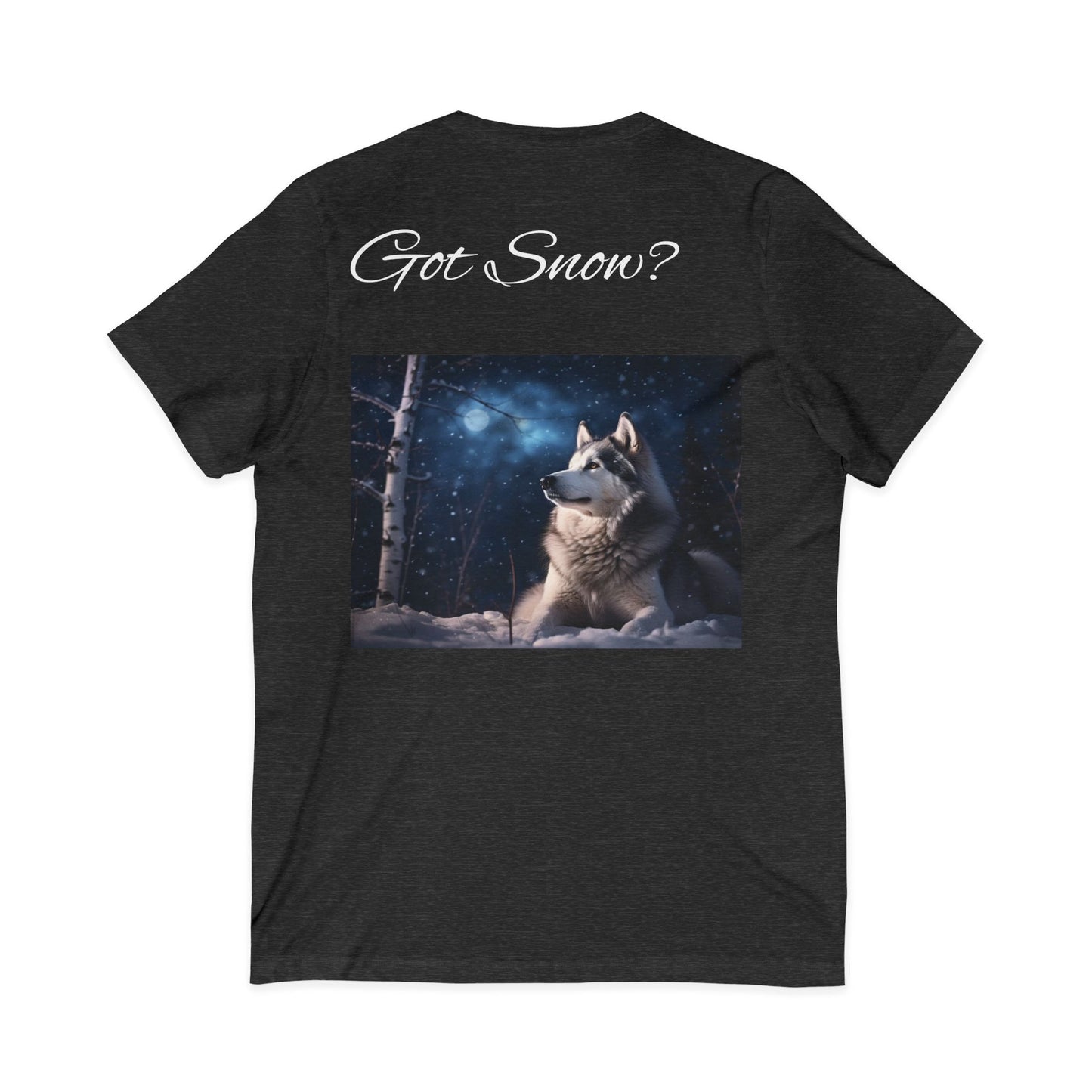 Got Snow? Unisex Short Sleeve V-Neck Tee