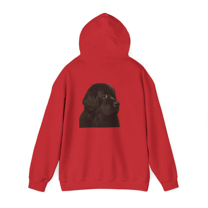 Newfie Head Unisex Hoodie