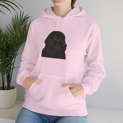 Newfie Head Unisex Hoodie