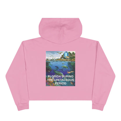 I-4 Eyesore Women's Crop Hoodie