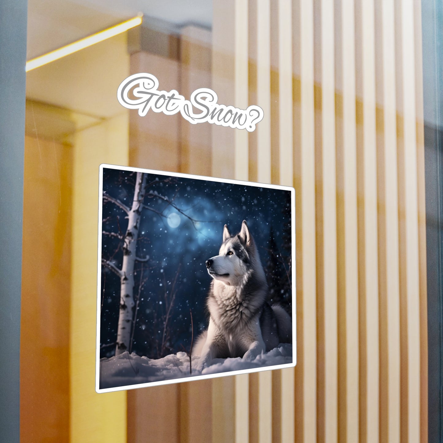 Got Snow? Vinyl Decal