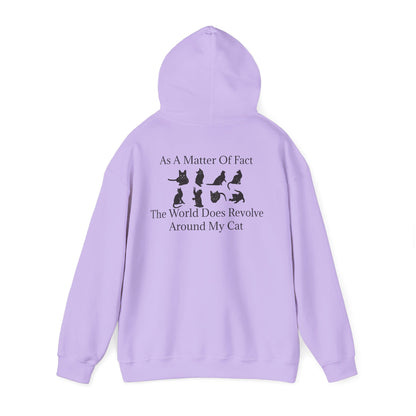 Matter Of Fact Cat Unisex Hoodie
