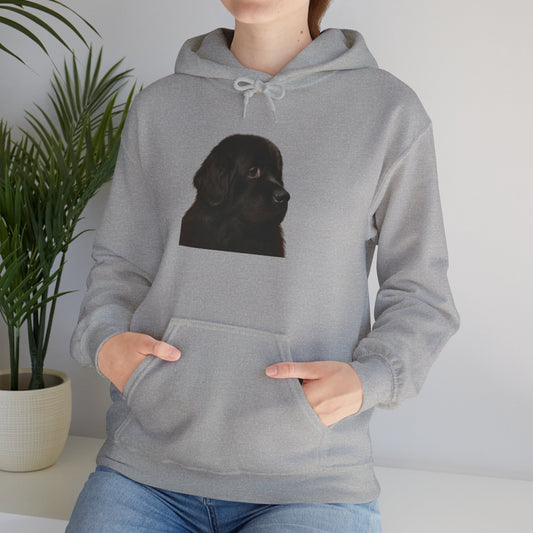 Newfie Head Unisex Hoodie