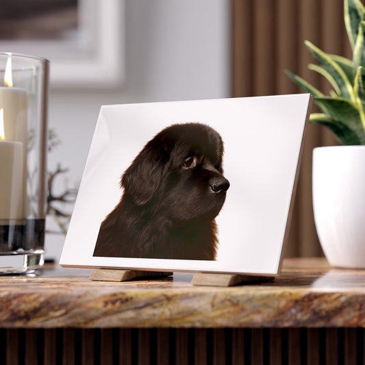 Newfie Head Ceramic Photo Tile