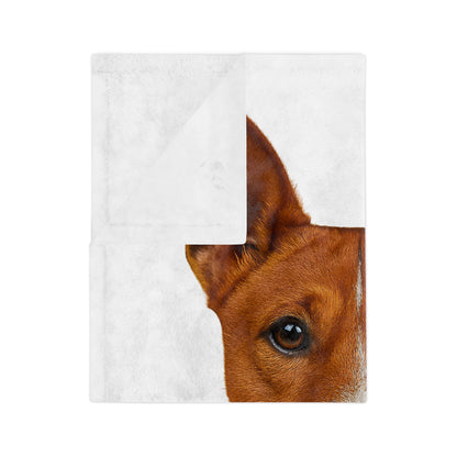 Basenji Head Velveteen Microfiber Blanket